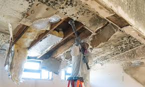 Best Mold Remediation for Healthcare Facilities  in Ronceverte, WV